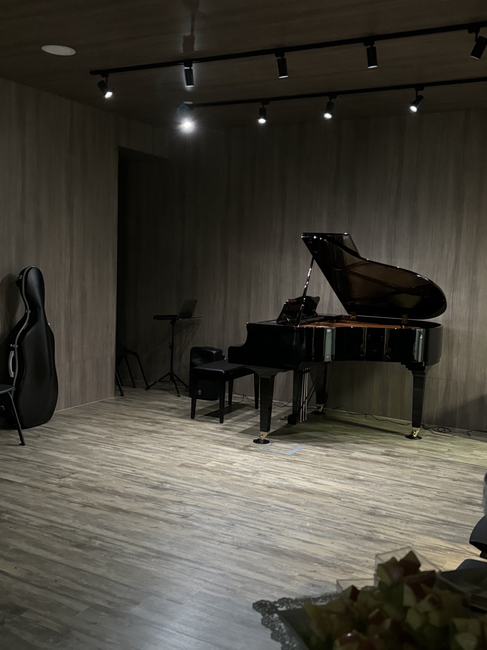 Dynamic String Arts 录音空间，内有三角钢琴与弦乐器盒